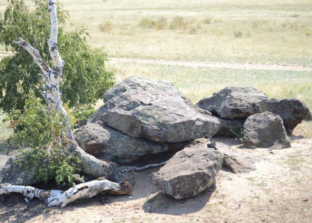 Урочище Святой камень (Алеутас). Фотография 5