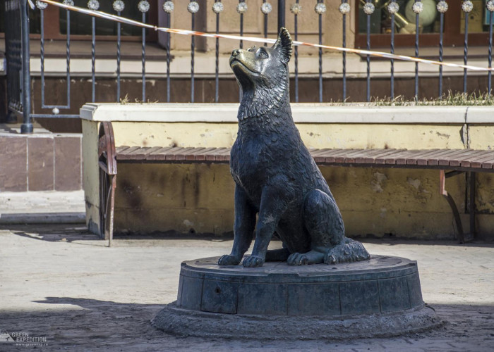Памятник бездомным животным (Оренбург). Фото 1