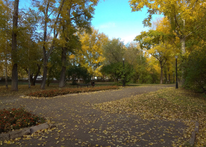 Парк Гуськова. Фото 1