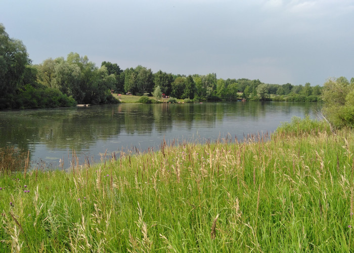 Татьяновский пруд. Фото 1