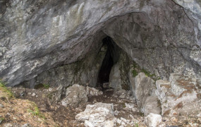 Пещера Ледовая