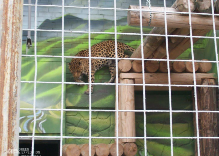 Челябинский зоопарк. Фото 4