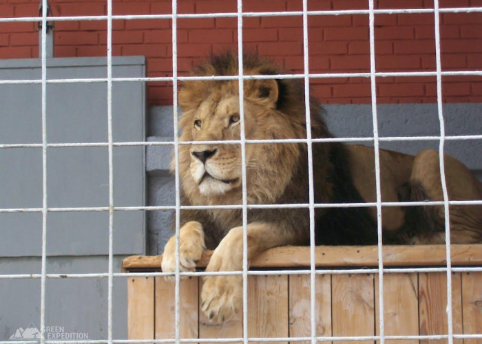 Челябинский зоопарк. Фото 3