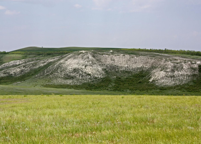 Чесноковские меловые горы. Фото 1