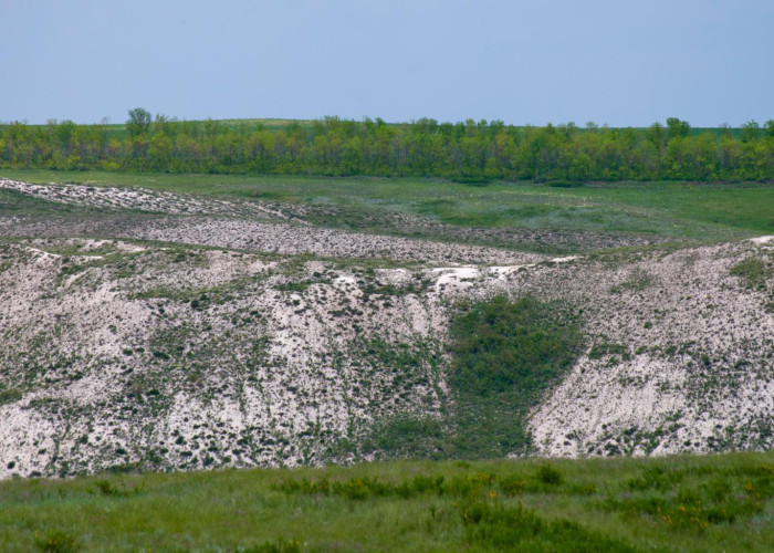 Чесноковские меловые горы. Фото 2