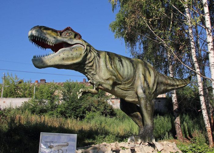 Динопарк "Динозавры на Вятке" в Котельниче. Фото 5