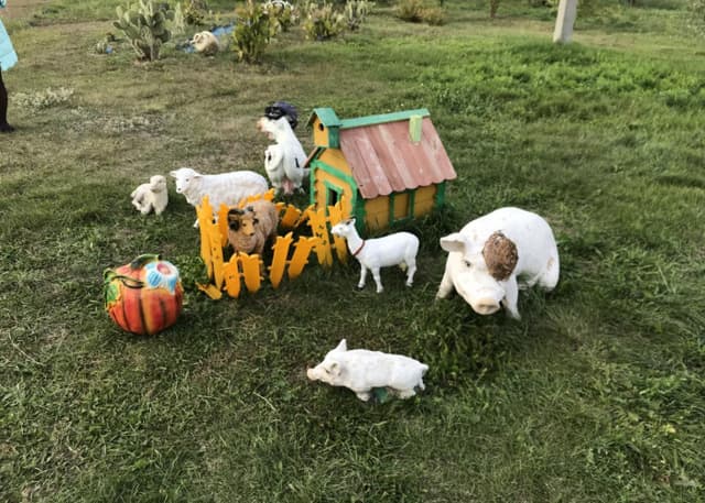 Страусиная ферма. Фотография 9