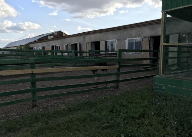 Страусиная ферма. Фотография 6