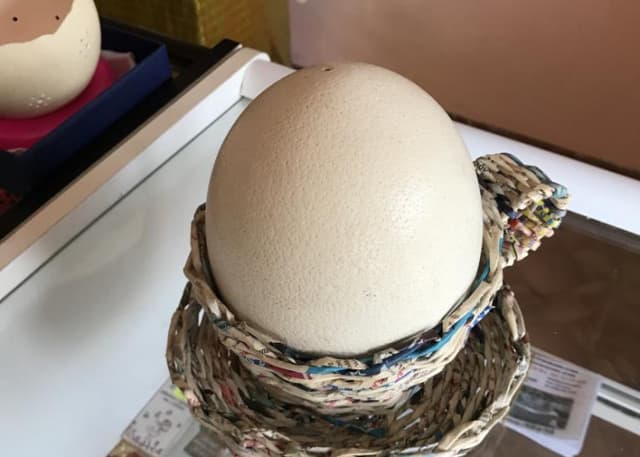 Страусиная ферма. Фотография 10