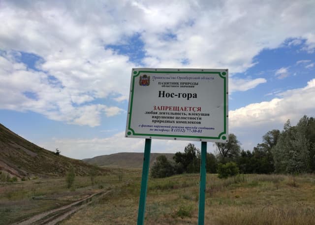 Саракташская "Нос-гора" (Курмаин). Фотография 2