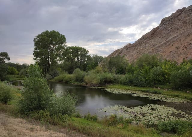 Саракташская "Нос-гора" (Курмаин). Фотография 3