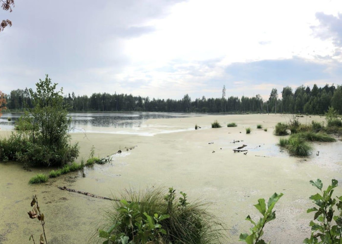 Озеро "Смердячье". Фото 5