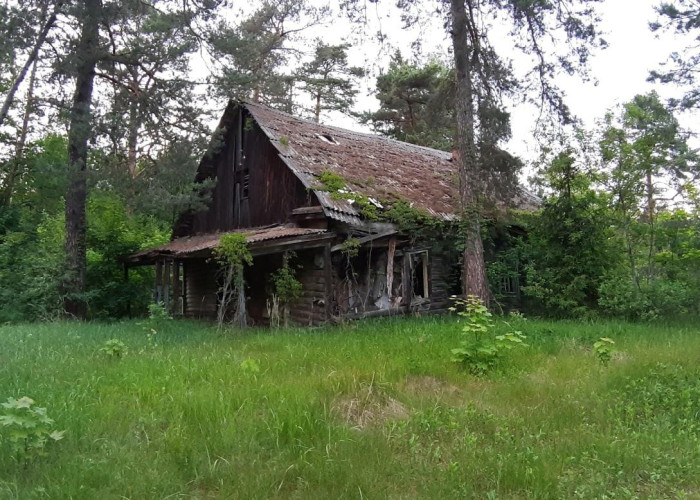 Заброшенный дом. Фото 1