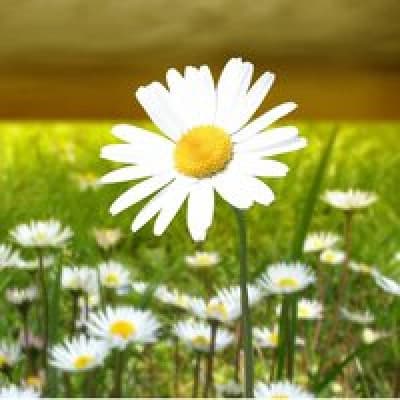 Ольга Козлова