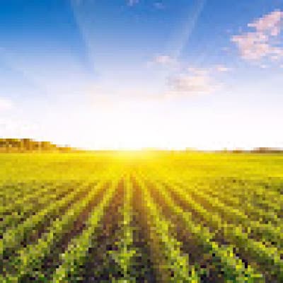 Степан Пашута (Конфил)